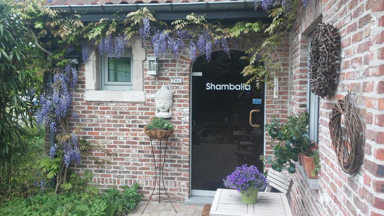 Shamballa B & B/ Logies ダインゼ エクステリア 写真